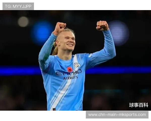 勒沃库森欲用哈兰德式年轻尖刀刷新禁区威胁